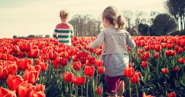 berwisata-bersama-anak7-b26c7e23578df398924e32e0bcd0373c_600xauto