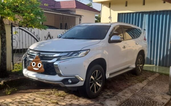 junior rentcar pku 2